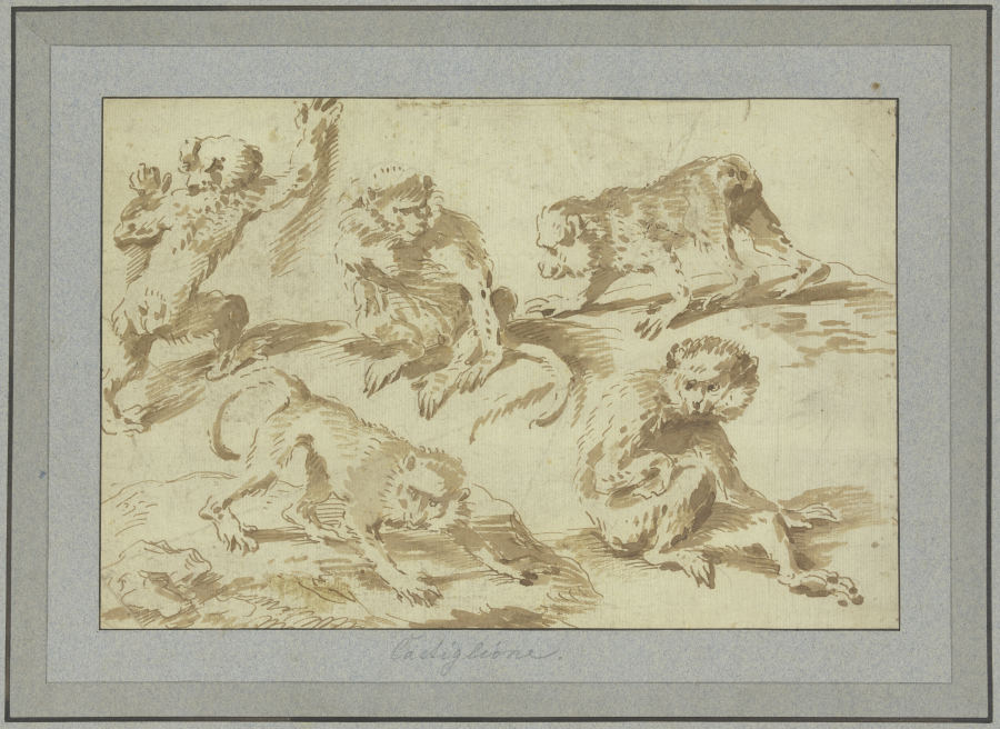 Fünf Affen in verschiedenen Stellungen from Giovanni Benedetto Castiglione