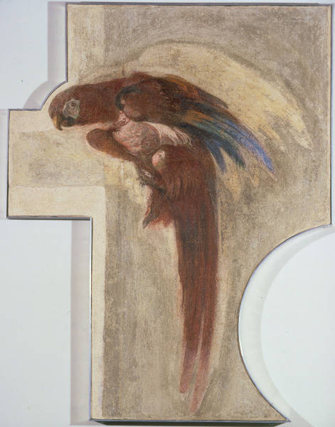 G.D.Tiepolo, Papagei from Giovanni Domenico Tiepolo