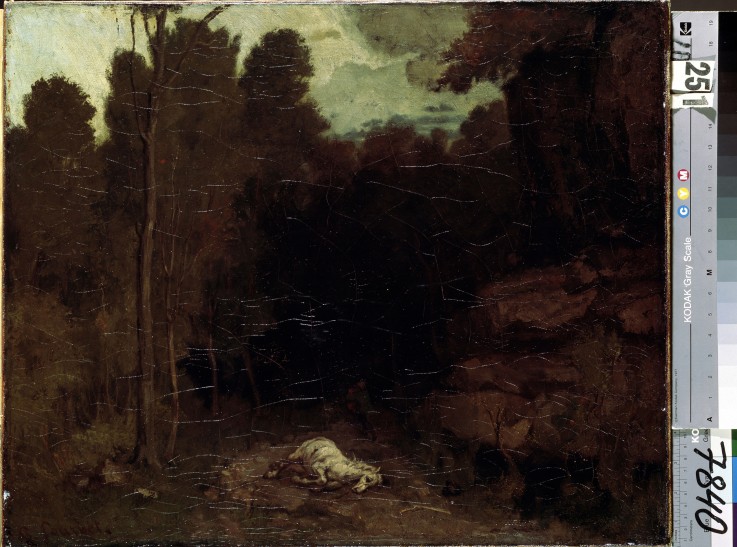 Landscape with a Dead Horse from Gustave Courbet