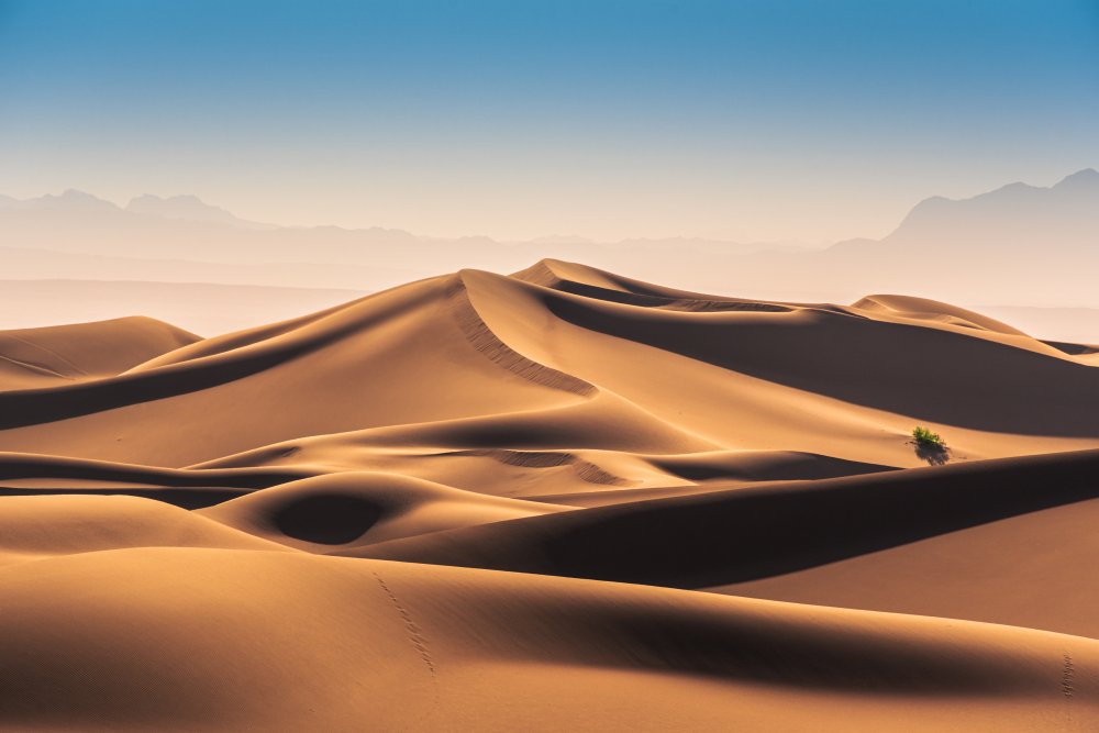 Karakal-Wüste from Hamed Qane