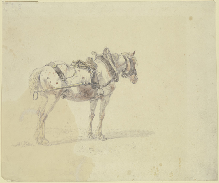 Geschirrtes Pferd from Heinrich Bürkel