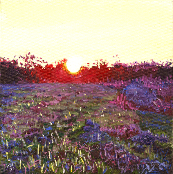 Farley sunset from Helen White