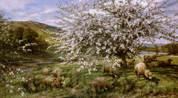 Obstgarten mit Schafen im Frühling (in Wales) from Henry William Banks Davis