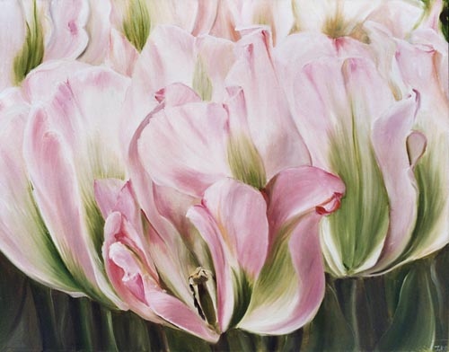 Tulpen from Ingeborg Kuhn
