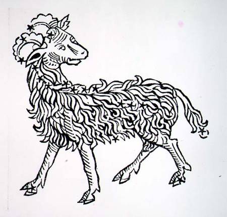 Aries (the Ram) an illustration from the 'Poeticon Astronomicon' by C.J. Hyginus, Venice from Scuola pittorica italiana
