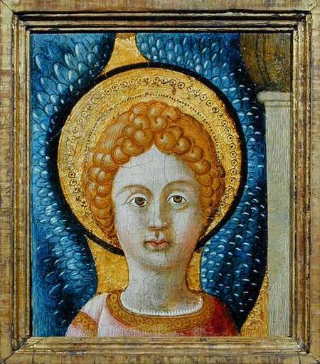 Head of an Angel from Scuola pittorica italiana