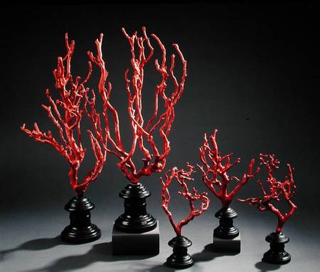Set of wooden drawing models imitating coral, from the University of Florence from Scuola pittorica italiana