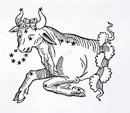 Taurus (the Bull) an illustration from the 'Poeticon Astronomicon' by C.J. Hyginus, Venice from Scuola pittorica italiana