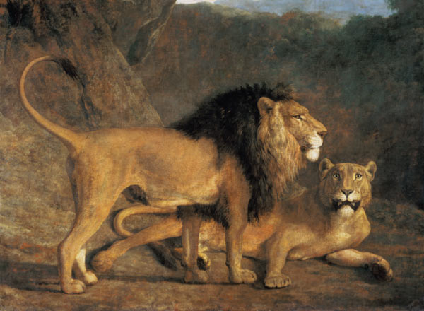 Löwe und Löwin in der Exeter Menagerie from Jacques-Laurent Agasse
