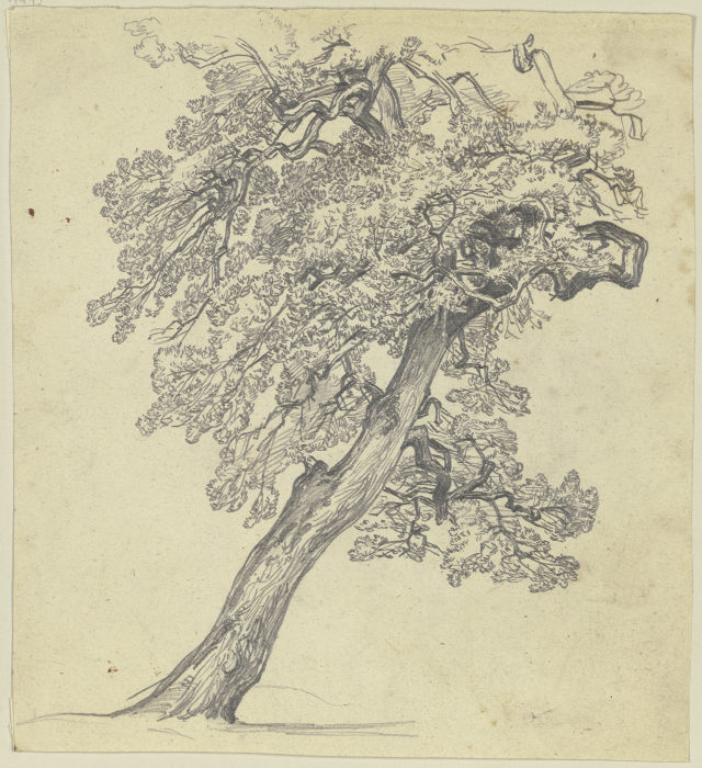 Baum from Jakob Becker