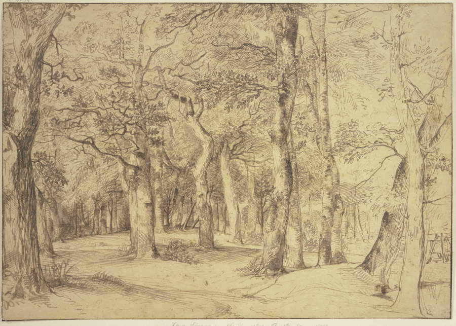 Das Innere eines Waldes, rechts sitzt ein Maler an der Staffelei from Jan Lievens