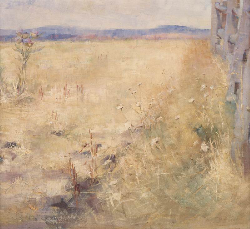 Ploughland in Summer, c.1900 from Jane Price