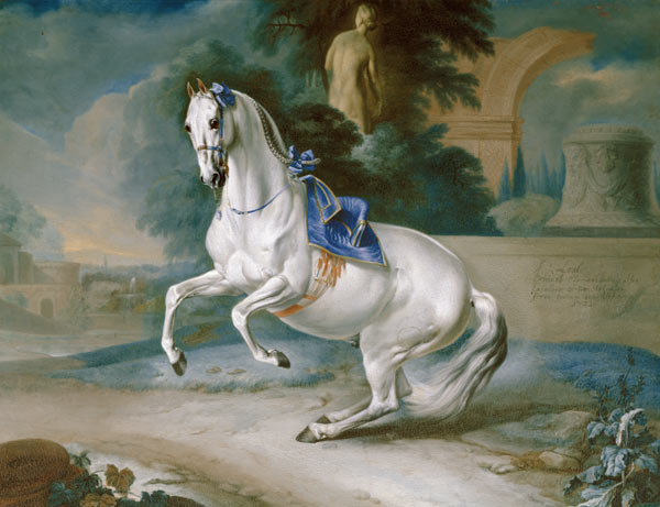 The White Stallion 'Leal' en levade from J.C. Hamilton