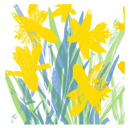 Spring Daffodils