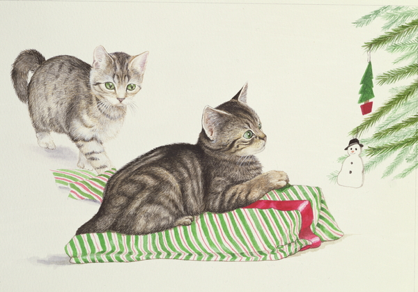 Two Kittens from Joan Freestone