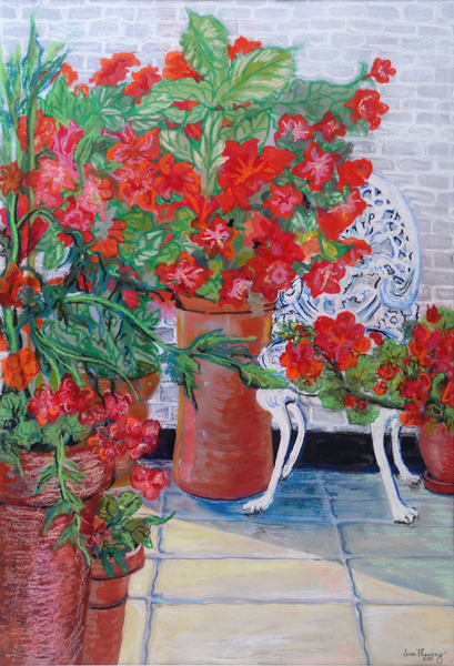 Geraniums and Petunias on the Terrace from Joan  Thewsey