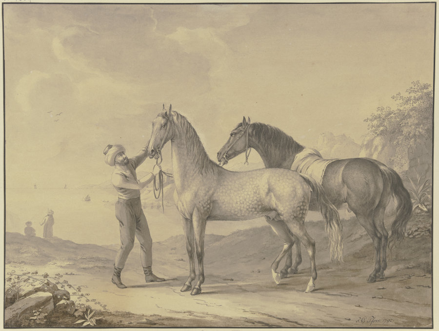 Pferde aus Tunis from Johann Georg Pforr