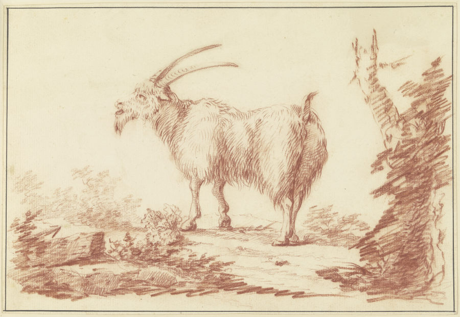 Eine Ziege nach links from Johann Ludwig von Pfeiff