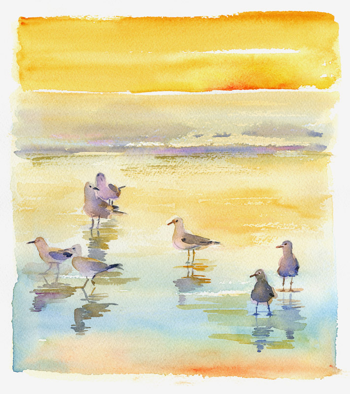 Seagulls on beach from John Keeling