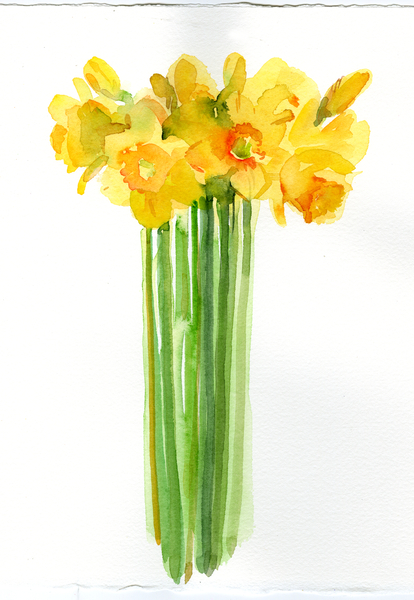 Daffodil bunch from John Keeling