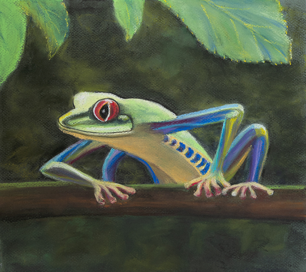 Tree frog from John Starkey