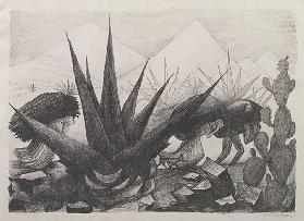 Indianer und Magney Pflanzen, 1928 (Litho in schwarzer Tinte)