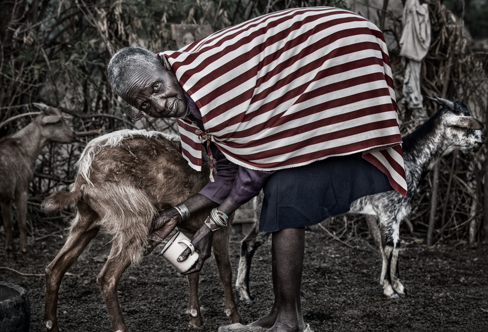 Frau vom Ilchamus-Stamm melkt eine Ziege - Kenia from Joxe Inazio Kuesta Garmendia