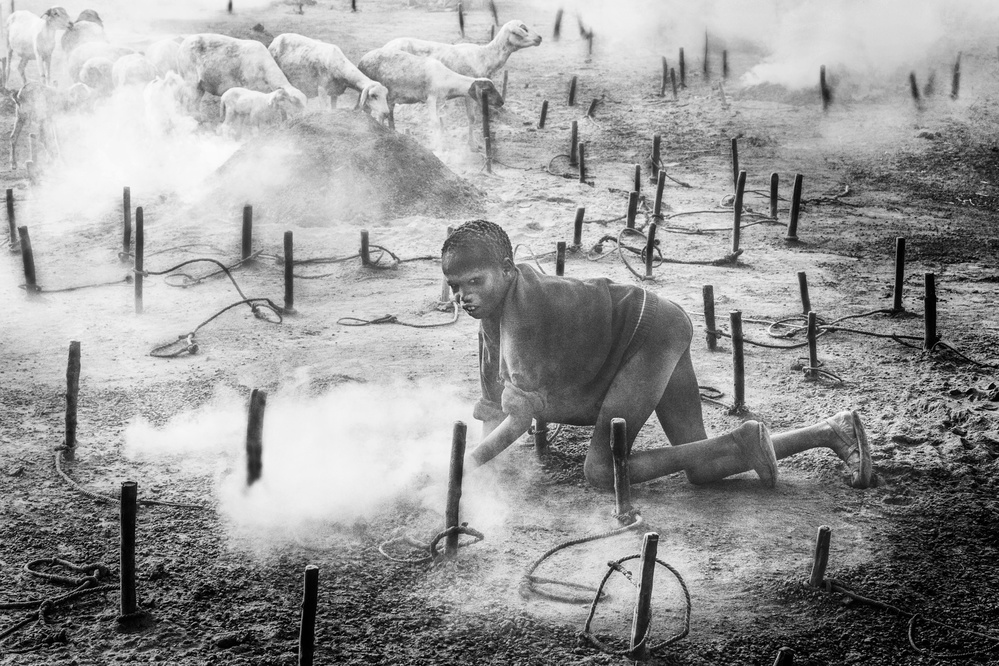 Sammeln von Mist in einem Mundari-Rinderlager – Südsudan from Joxe Inazio Kuesta Garmendia