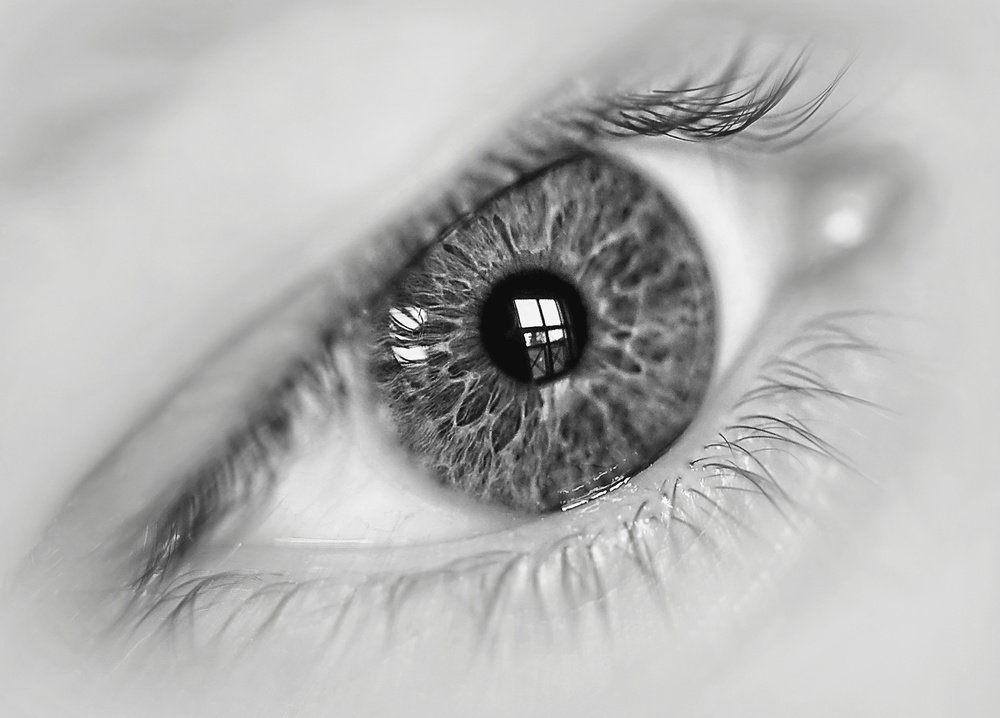 Das Auge – Fenster zur Welt from Jrmgard Sonderer