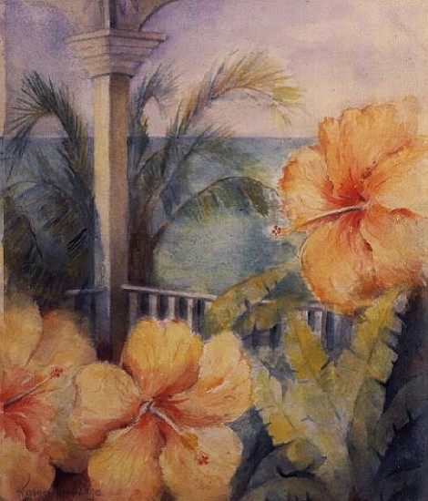 Coccoloba Hibiscus  from Karen  Armitage