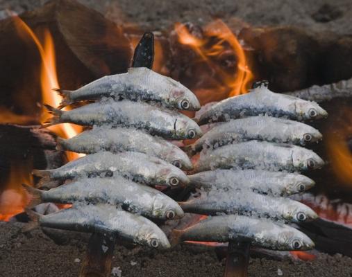Spain Skewers or espetos of sardines barbecueing on open fire from Ken Welsh