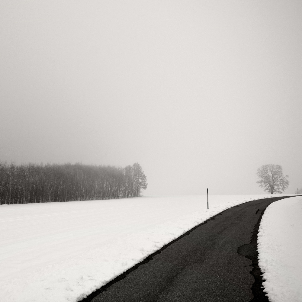 Kurve im Schnee from Lena Weisbek