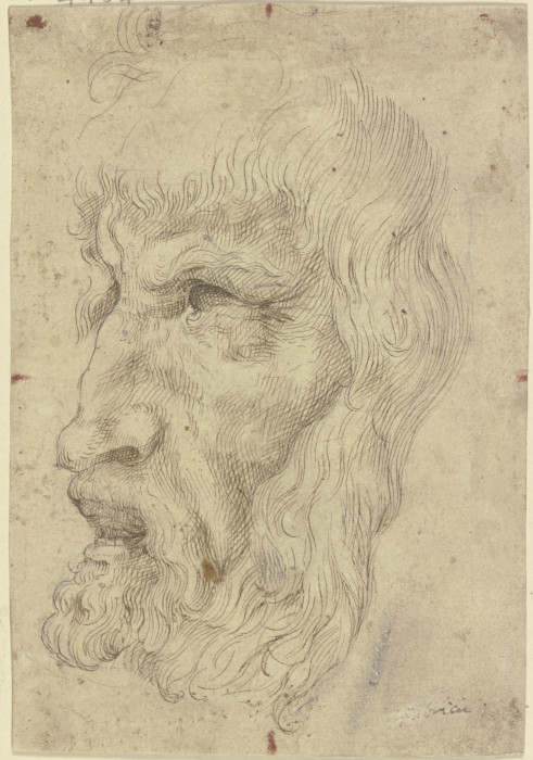 Antike Maske nach links from Leonardo da Vinci