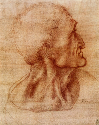 Studie für das Abendmahl (Judas) from Leonardo da Vinci