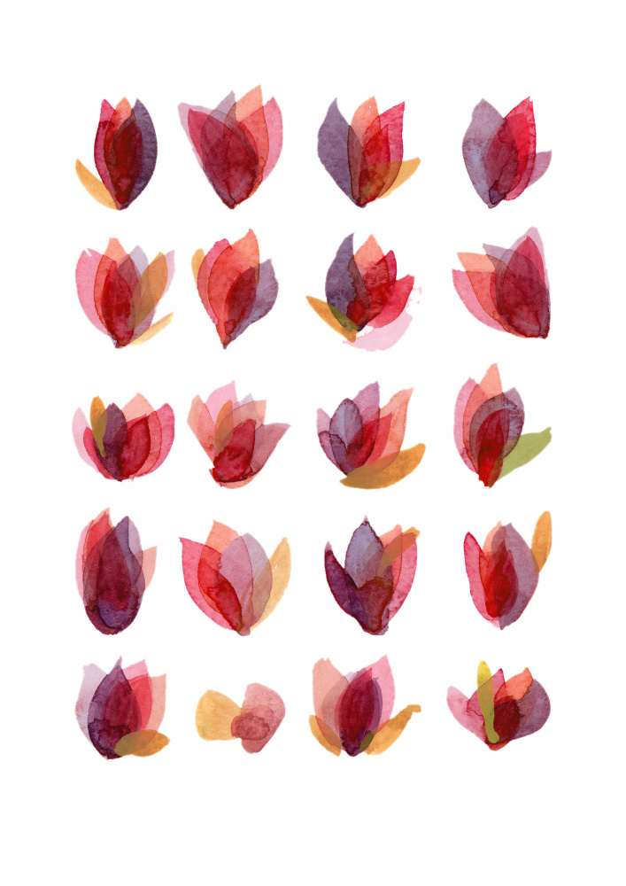 Rote Blütenblätter from Louise van Terheijden