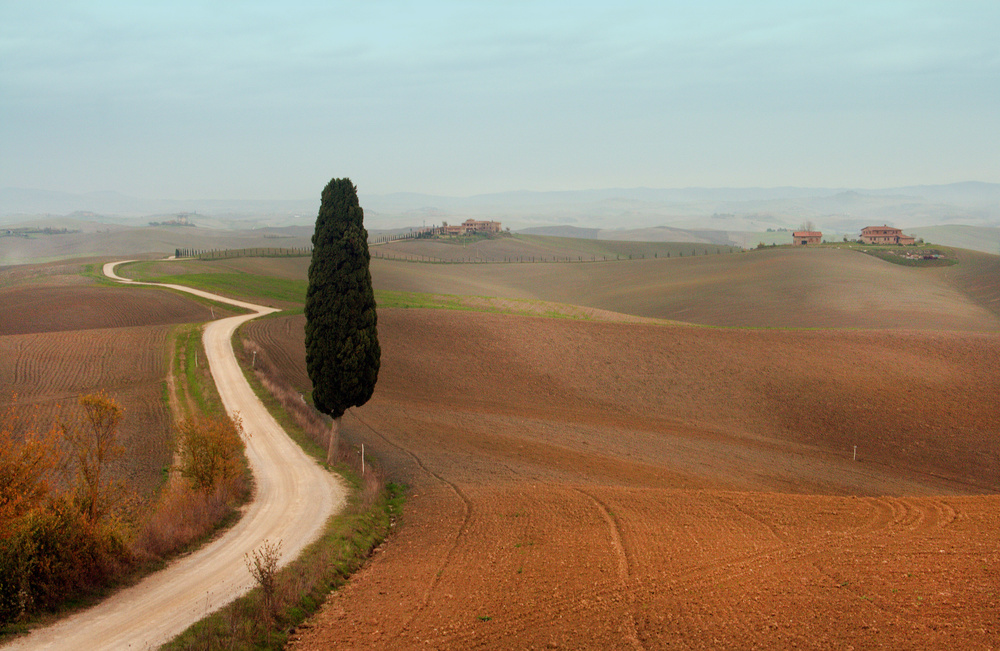 Landschaft from Luciano Caturegli