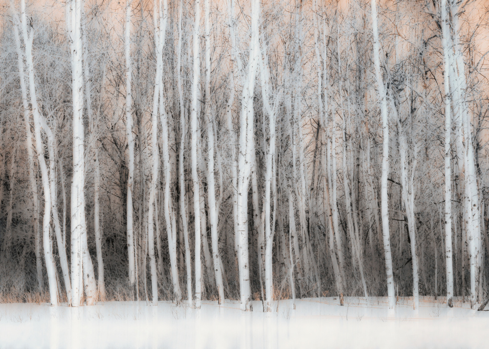 Winterliche Vision from Lucie Gagnon