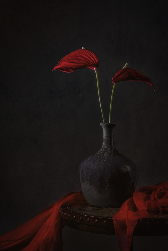 Tropisches Anthurium from Lydia Jacobs