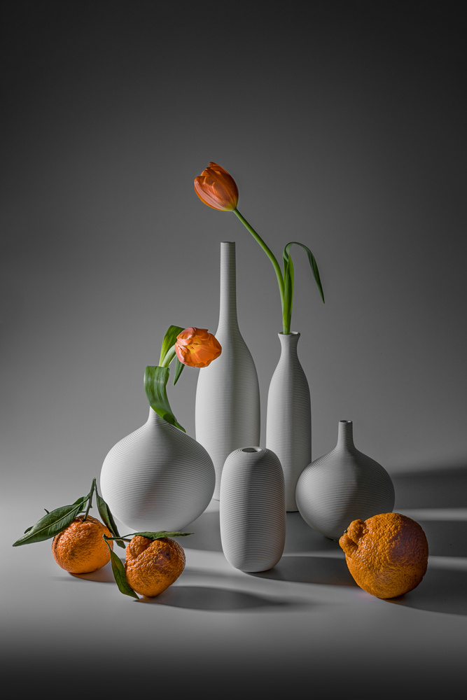 Tulpe und Mandarine from Lydia Jacobs