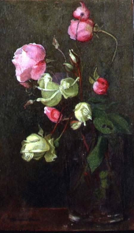 Roses from Marianne Stokes