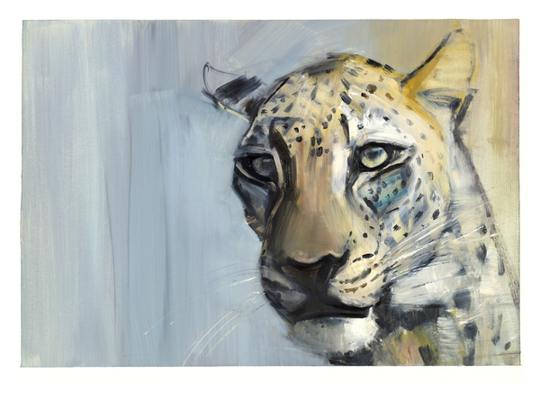 Predator (Arabian Leopard) from Mark  Adlington