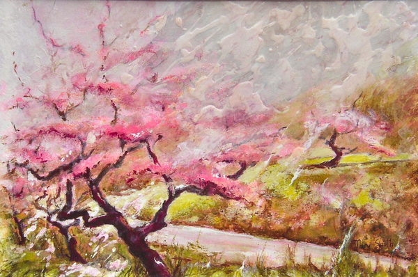 almond blossom in the mountains from Mary Smith