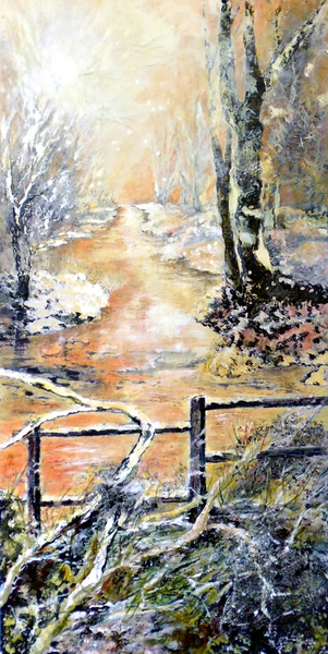 Early winters morning along Markeaton brook from Mary Smith
