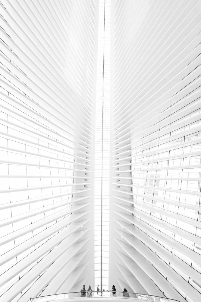 Calatrava-Vision from Massimo Alloi
