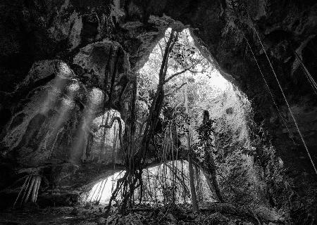 Mittlere Caicos-Höhle in BW