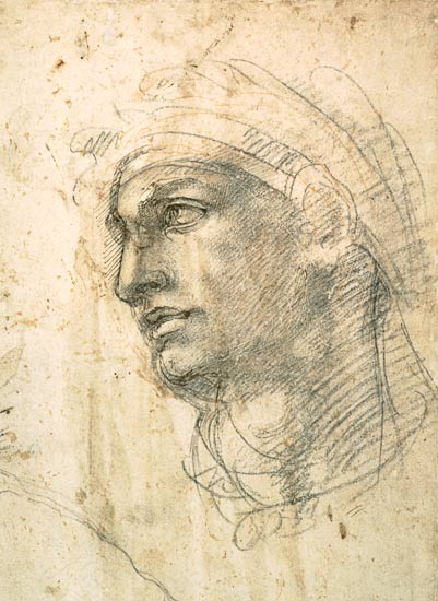 Study of a Head  Inv.1895/9/15/498 (W.1) from Michelangelo (Buonarroti)