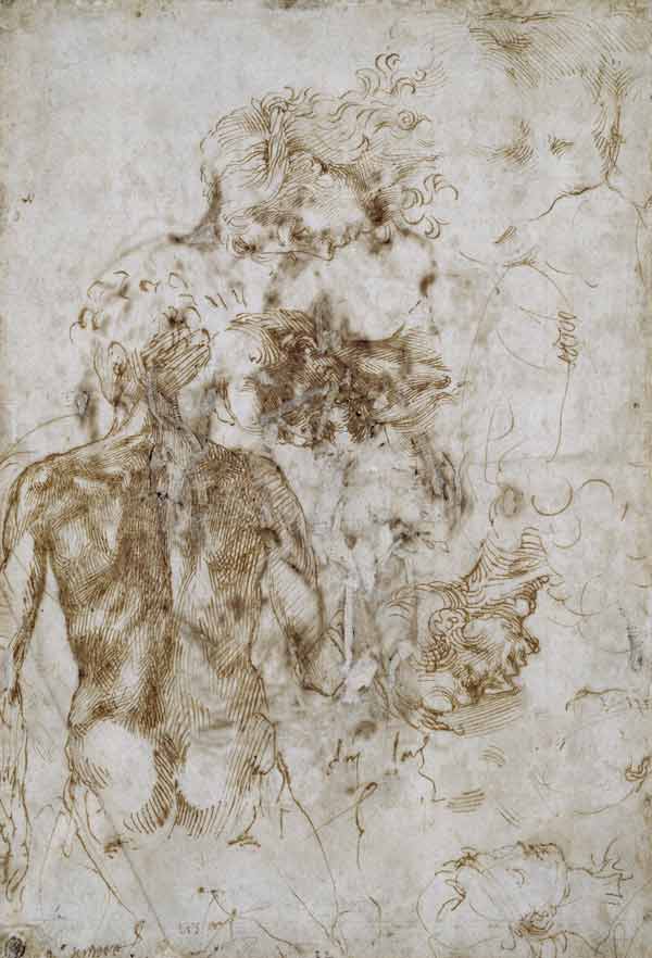 Studies of Male Nude, after 1501-2 (pen & ink on paper) from Michelangelo (Buonarroti)
