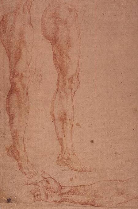 Studies of Legs and Arms from Michelangelo (Buonarroti)