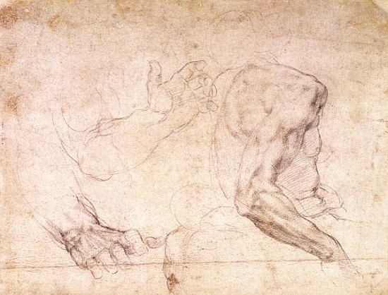 Studies of hands and an arm(verso) from Michelangelo (Buonarroti)