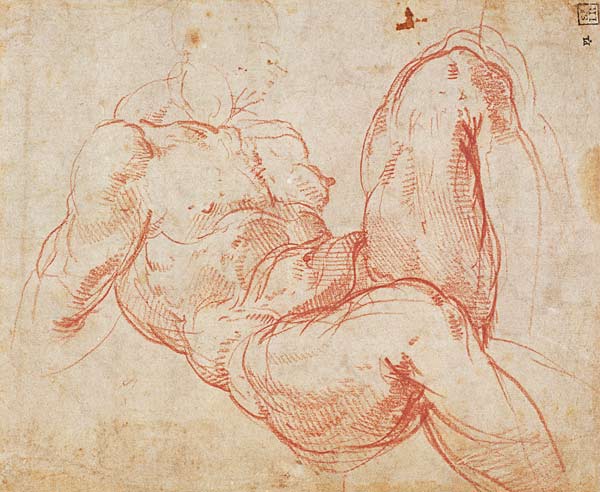 Study of a Nude (red chalk) Inv.1854/5/13/1 Recto (W.10) from Michelangelo (Buonarroti)